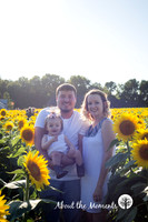 Sunflower Mini's - Sinclair's